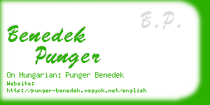 benedek punger business card